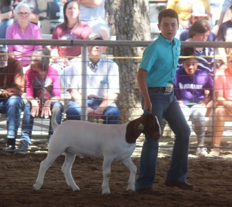 Gavin Thaler of Fairfield FFA shows his goat on Wednesday. He won 1st place in his class. Photo by Mitchell Pate.