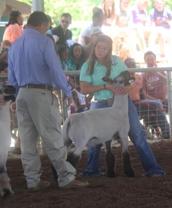 Ellie Grissett of Fairfield FFA won second in her class during the lamb show on Wednesday. Photo by Mitchell Pate.
