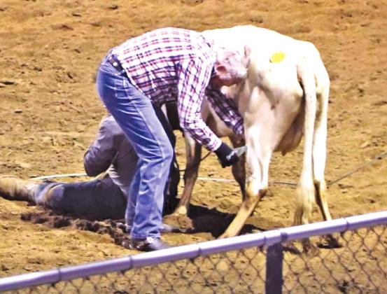 Local man Willis Pickett, aged 73, competed in wild cow milking at the Mexia Rodeo this past Saturday night. Pickett performs in rodeos along with his son, Justin. Photo via Helen Pickett