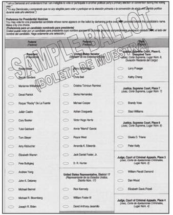 A sample Democratic ballot in Freestone County shows voters some of what to expect come March 3.
